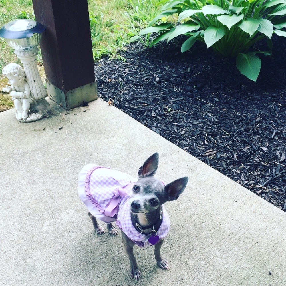Hello spring! I am feeling quite Posh! 💕😘💋